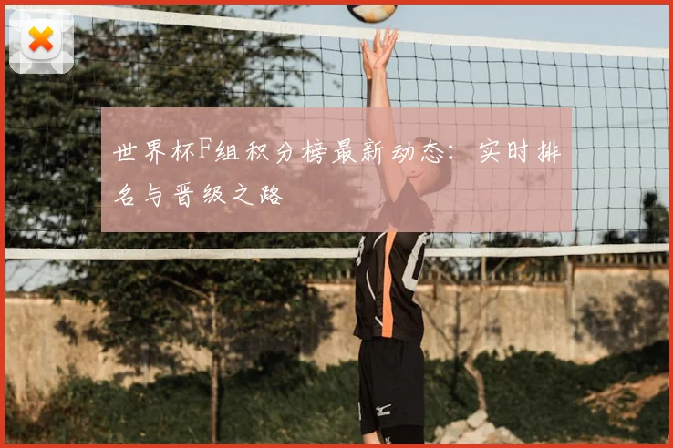 世界杯F组积分榜最新动态:实时排名与晋级之路